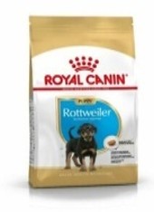BHN ROTTWEILER PUP 12KG